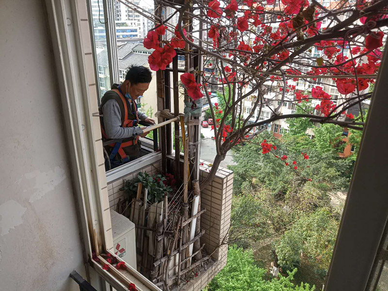 陽臺植物拆除:將陽臺和客廳打通。很多人想擴(kuò)大自家客廳面積，改善采光情況，因此就選擇打通陽臺和客廳，這并不是完全不行的，但是要考慮戶型的實際情況。有的戶型陽臺的墻是用來抗震的，如果拆掉，短期看不出問題，但是長期使用必然會影響房子的承載能力，遇到嚴(yán)重災(zāi)禍的時候，就完全無法抵抗了。